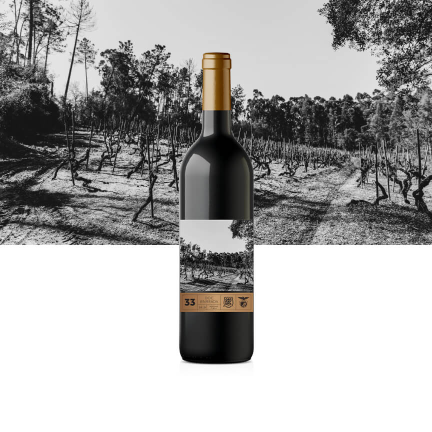 Red Wine DOC Reserva 2015 Bairrada