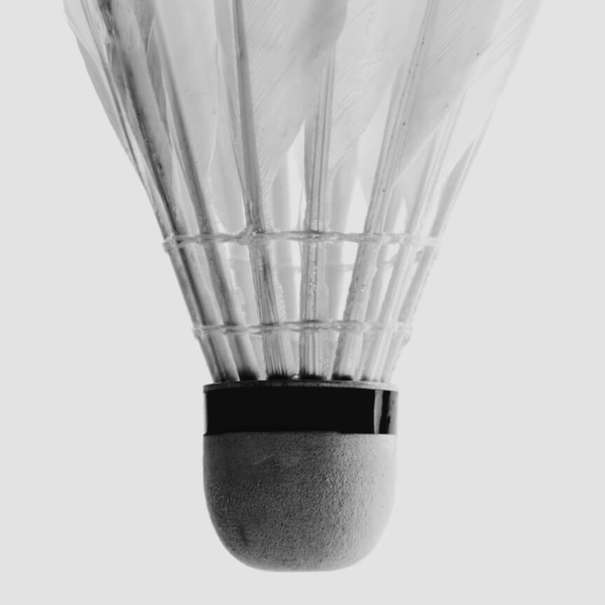 White Wine Harvest 2019 Península de Setúbal