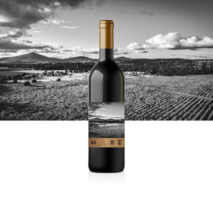 Red Wine Reserve 2020 DOC Terras das Beiras