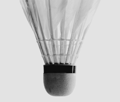 Benfica Wine Cellar - Wines by Sport Discipline: pena de Badminton