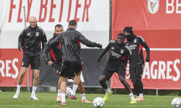 Ball work during training