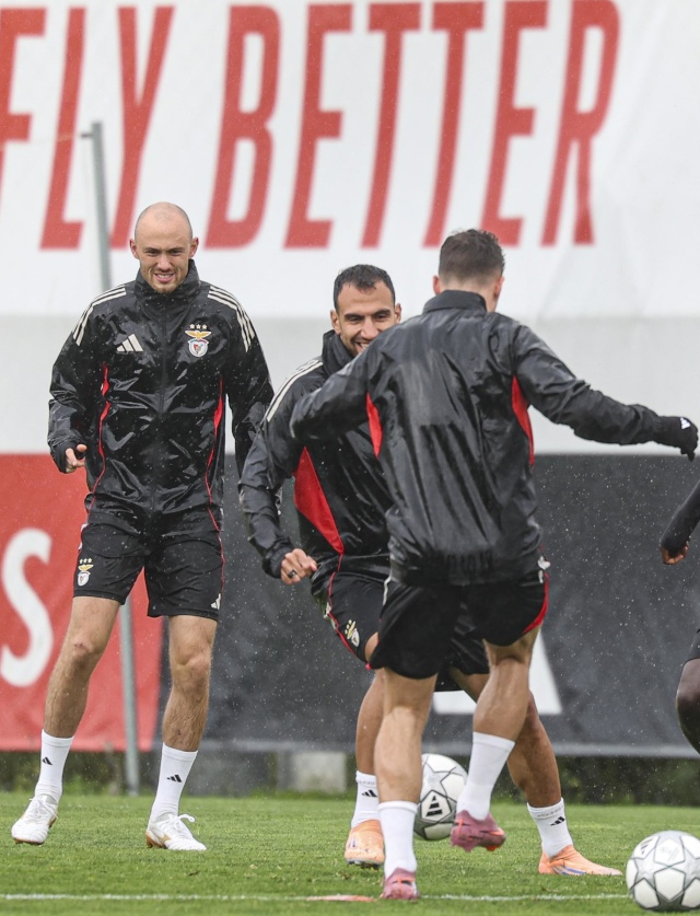 Ball work during training
